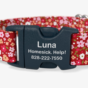 Buckle personalized